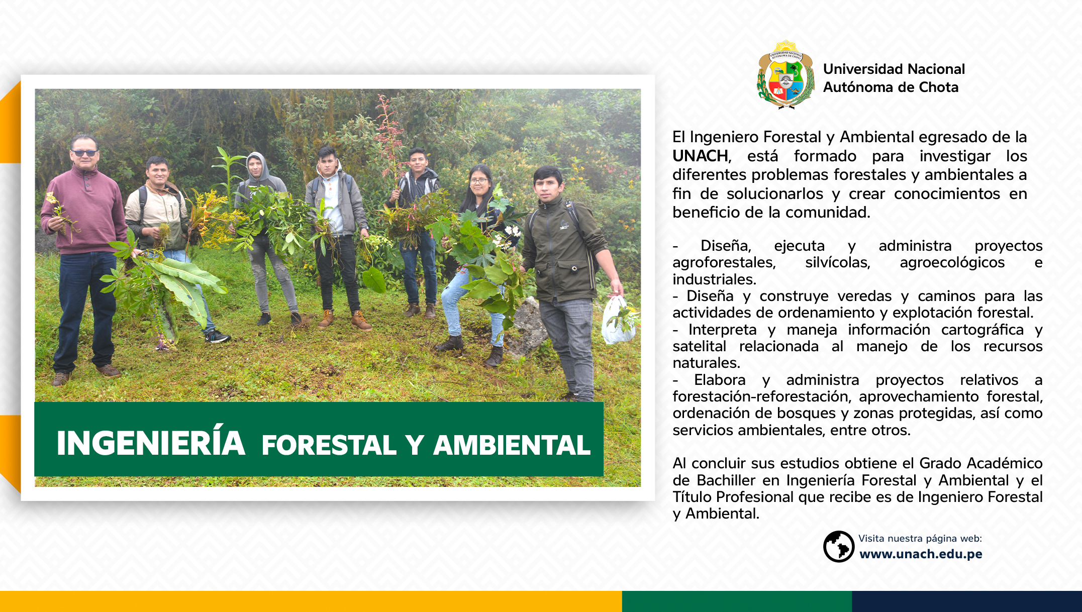 FORESTAL